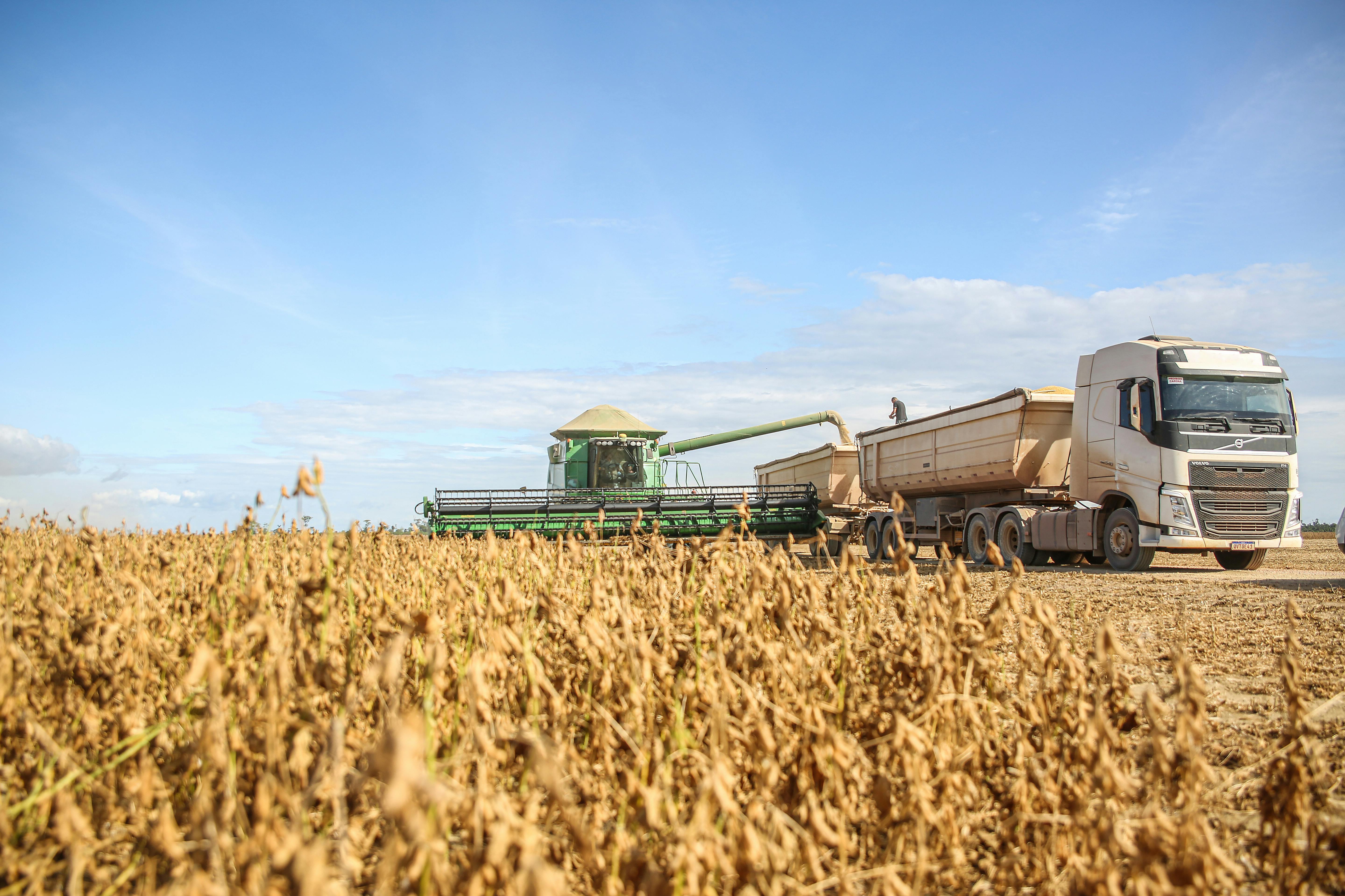 truck in farm