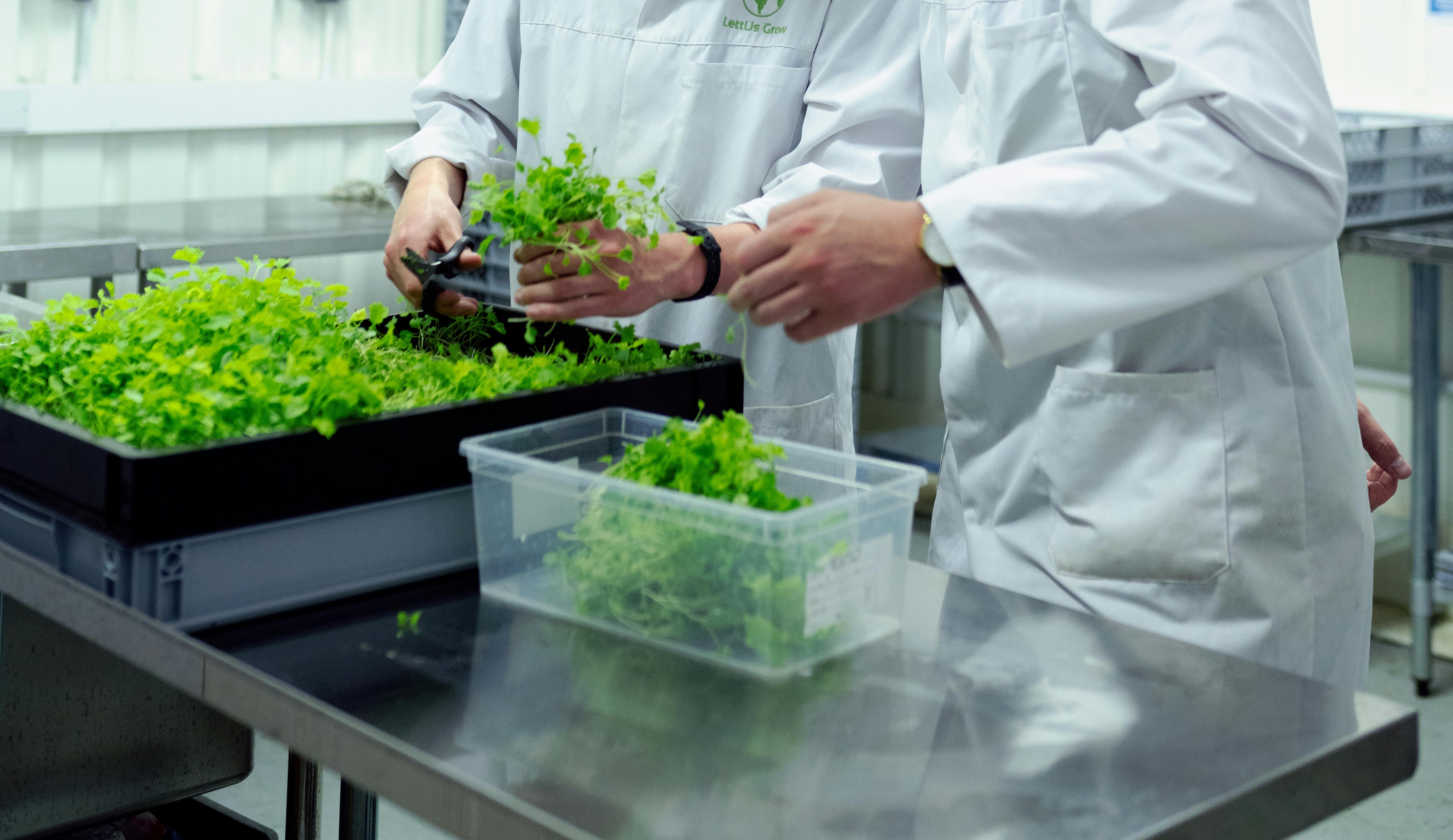 Agricultural research