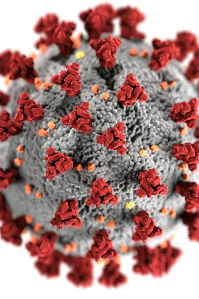 Corona Virus